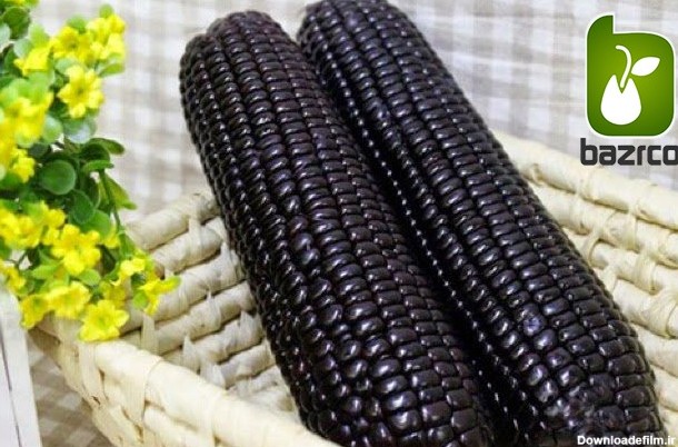 ذرت سیاه یا ذرت مشکی یا بلال سیاه (black corn)  این ذرت با نام (Kulli) Black Incan Corn خوانده می شود.رنگ آن سیاه مایل به بنفش است و درزمان بلوغ به رنگ های مایل به خاکستری، آبی و سفید نیز دارد .این ذرت نیز بومی مکزیک بوده