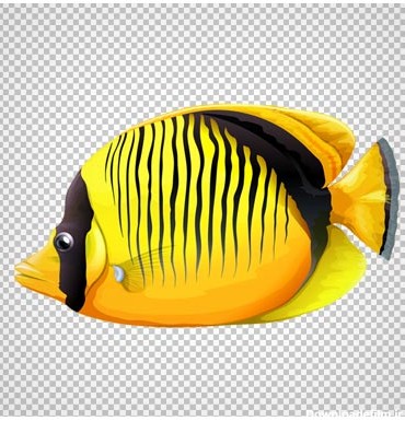 ماهی آب شور زرد رنگ ، دانلود بصورت فایل بدون پس زمینه