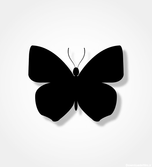 عکس سیاه سفید پروانه