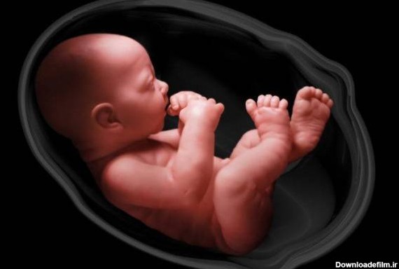 علائم جنین مرده در شکم مادر