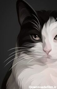 آموزش نقاشی گربه - نقاشیار