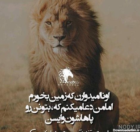 عکس شیر با نوشته