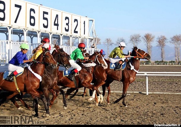مسابقه اسب سواری در گلستان (عکس)