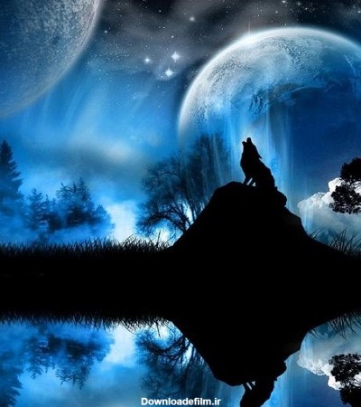 انعکاس عکس گرگ و ماه در آب