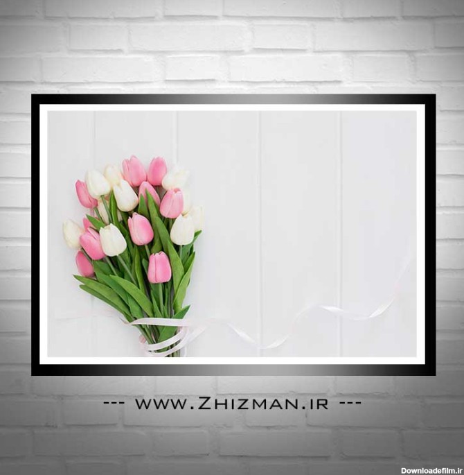 عکس دسته گل لاله سفید و صورتی - خدمات طراحی و چاپ ژیزمان | zhizman.ir