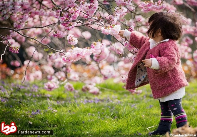تصاویر: با ۱۰ گل زیبای جهان آشنا شوید