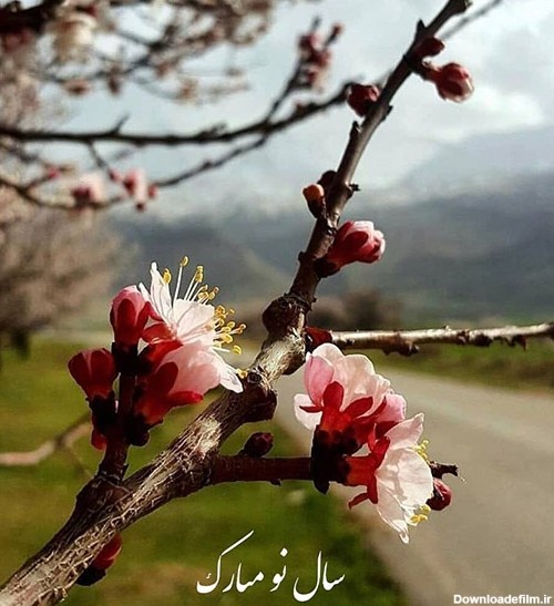 عکس پروفایل عاشقانه بهاری + جملات و اشعار زیبای عاشقانه در مورد فصل بهار