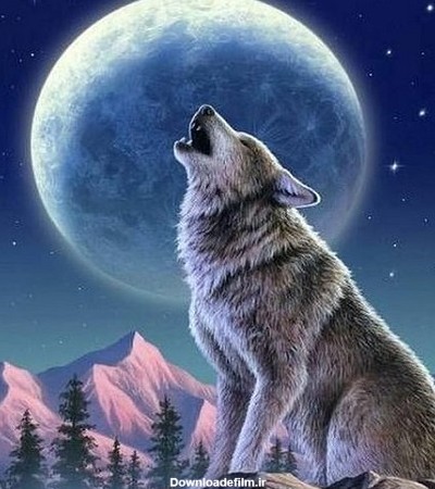 عکس گرگ و ماه بر قله کوه