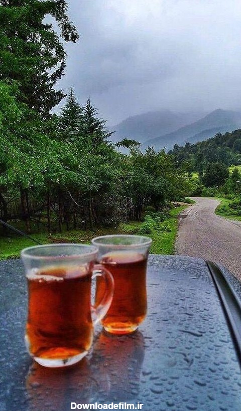 عکس فنجان چای در طبیعت