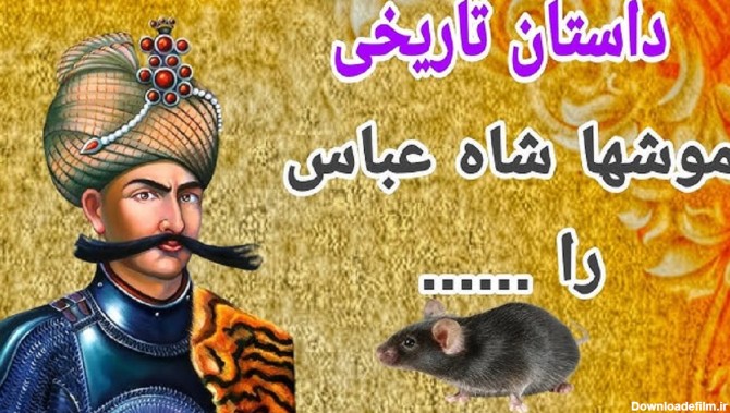 داستان واقعی شکست شاه عباس صفوی از موش ها!