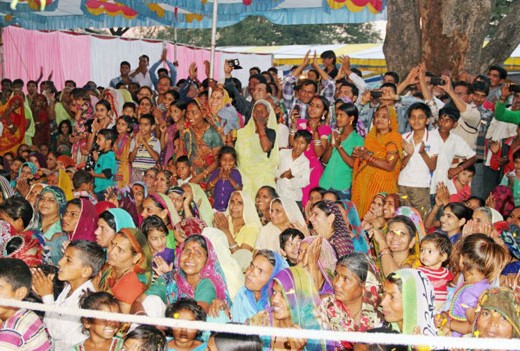 عروسی پر زرق و برق گاوها در هند! (+عکس)