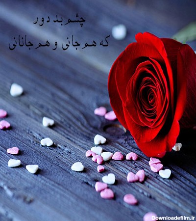 عکس گل دلتنگی عاشقانه