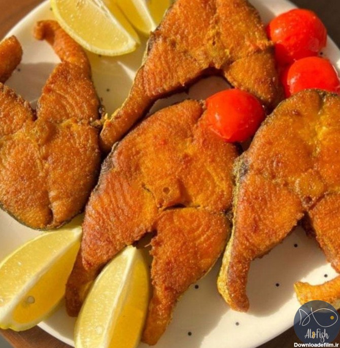 ماهی شیر اصلی بوشهر – فروشگاه الوفیش