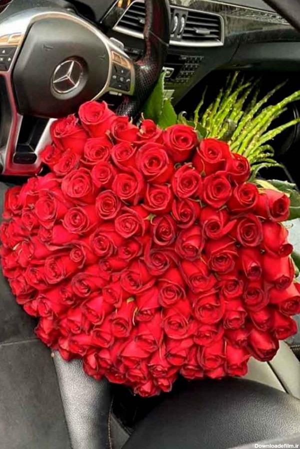 دسته گل بزرگ 100 تایی رز هلندی ممتاز | فروشگاه گل اریس