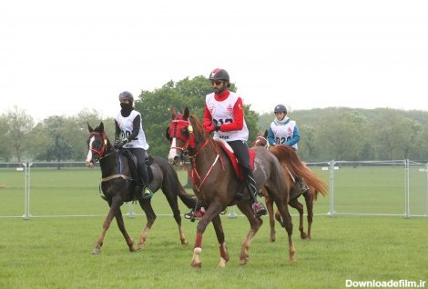 عکس: کدام اسب شاه بحرین را به لندن کشاند؟