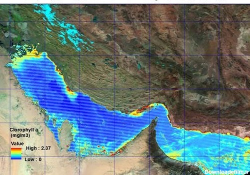 حرکت شکوفایی جلبکی «نوکتی لیکا» از دریای عمان به سمت خلیج‌فارس ...
