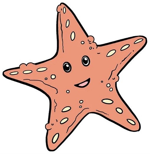 بایگانی‌های نقاشی ستاره دریایی - کامل (مولیزی)