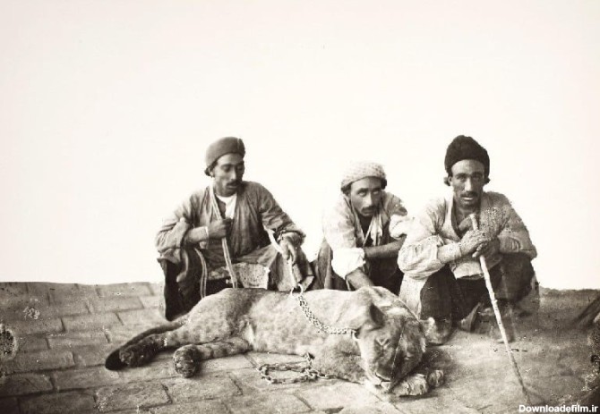 شکار شیر ایرانی توسط افراد محلی