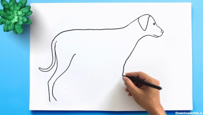 نقاشی کودکانه سگ ساده و خالدار، کارتونی و فانتزی، پاکوتاه و ...