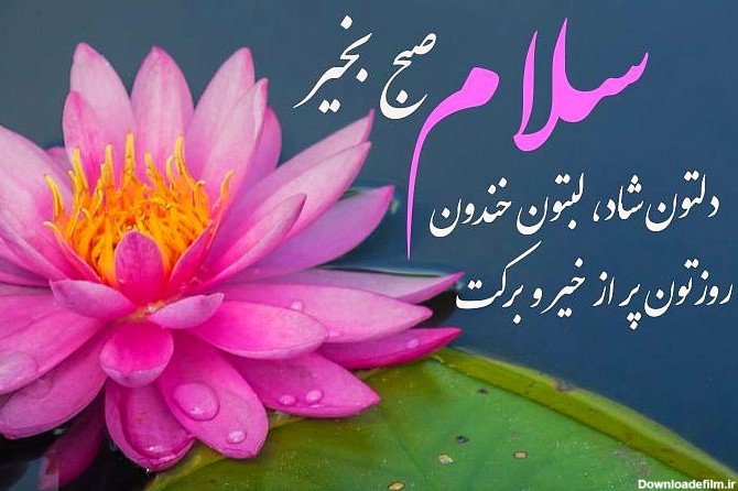 دانلود عکس زیبای صبح بخیر