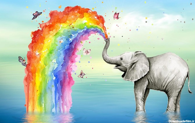 فیل و رنگین کمان