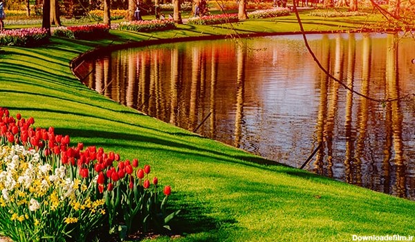 تصویر پس زمینه پارک و منظره فصل بهار با گل | فری پیک ایرانی | پیک ...