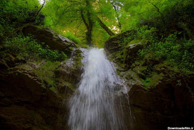 آبشار زیبای جنگل انجیلی