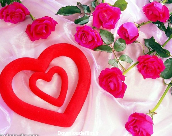 عکس عاشقانه قلب و شاخه گلهای رز قرمز طبیعی بسیار زیبا
