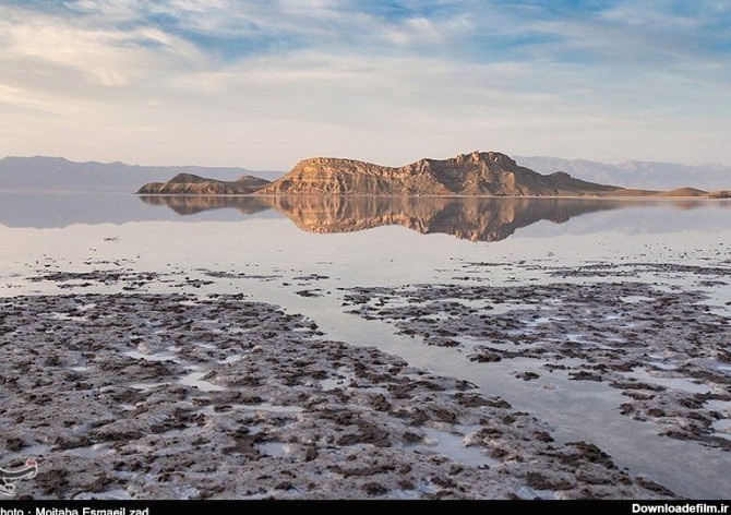 تلخ‌ترین عکس از دریاچه ارومیه/ مدفون شدن یک گونه نادر گوزن زیر نمک!