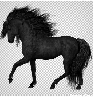 دانلود تصویر دوربری شده اسب سیاه (png بدون بکگراند)(Black Horse Png)