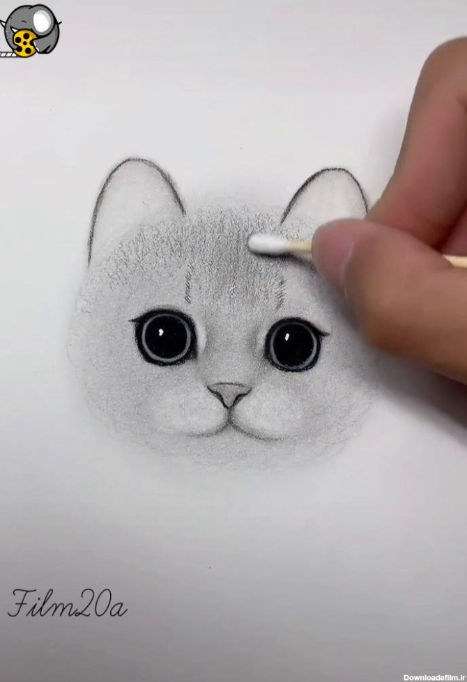 آموزش نقاشی گربه - فیلو
