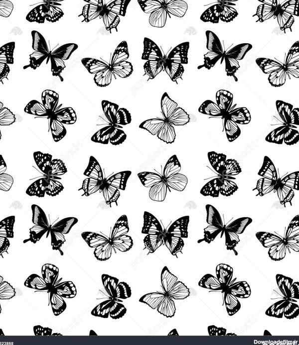 عکس سیاه سفید پروانه