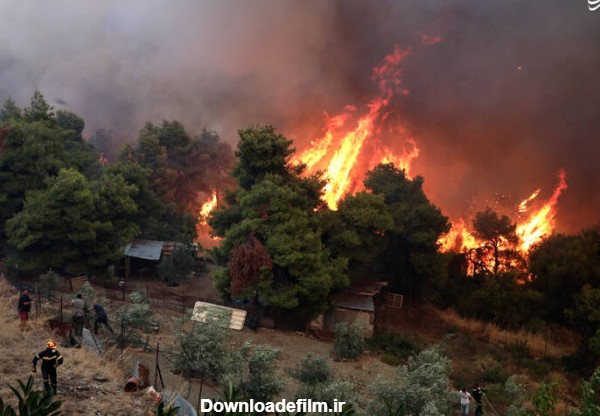 مشرق نیوز - عکس/ جنگل‌های یونان در آتش سوخت