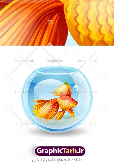 طرح تصویر گرافیکی تنگ ماهی قرمز | دانلود تصویر با کیفیت تنگ ماهی ...