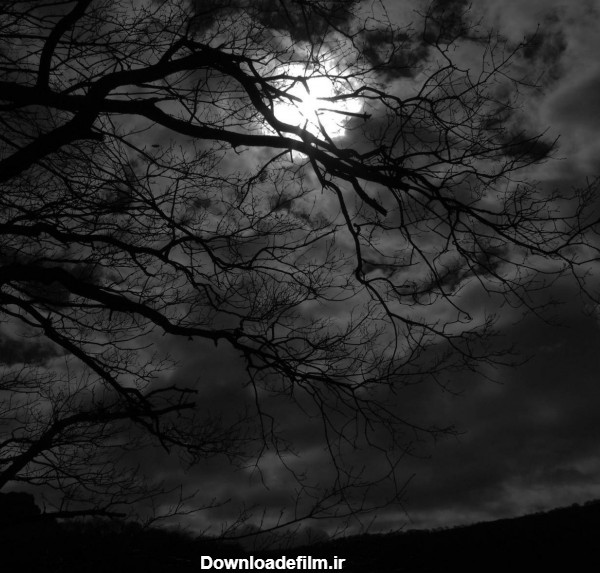 عکس زمینه ماه پشت ابر در آسمان شب پس زمینه | والپیپر گرام