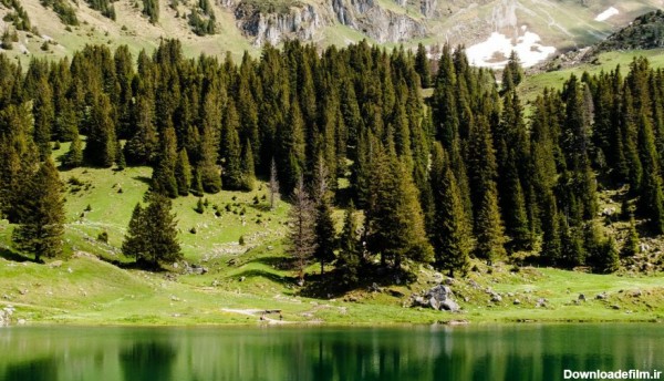 طبیعت بهاری دریاچه Gantrischseeli Lake در سوئیس
