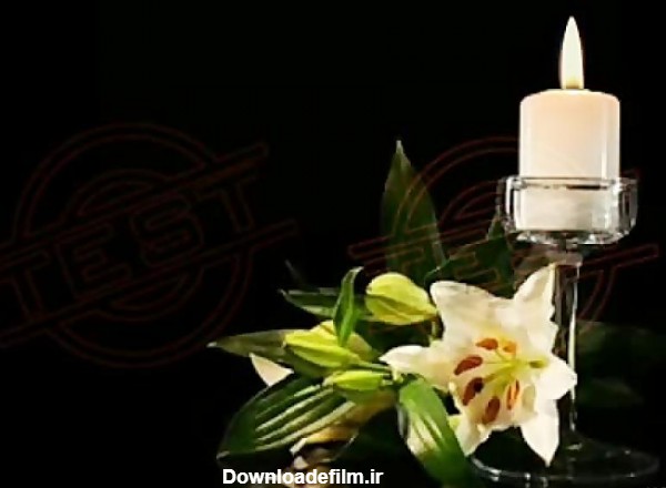 عکس شمع و گل تسلیت - عکس نودی