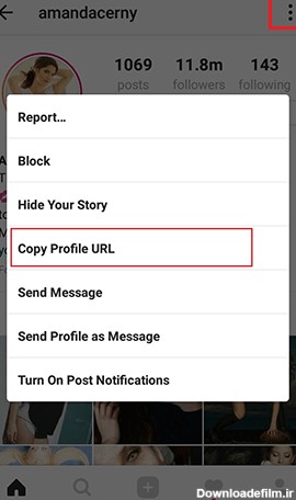 برنامه ذخیره عکس پروفایل اینستاگرام برای ایفون ۱۴۰۰ - عکس نودی
