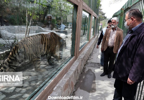 همشهری آنلاین - تصویر | بزرگ‌ترین باغ وحش ایران در وکیل آباد مشهد