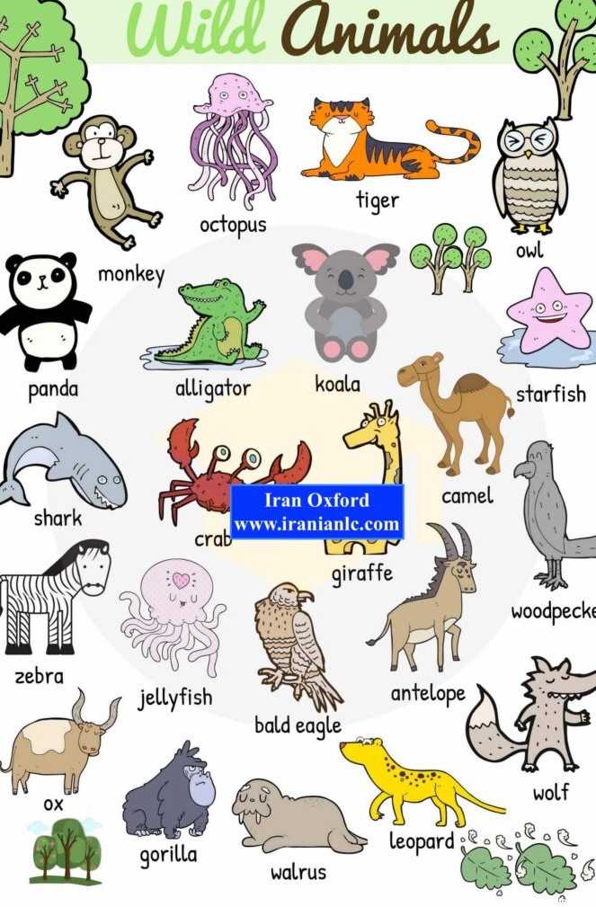 حیوانات وحشی در زبان انگلیسی