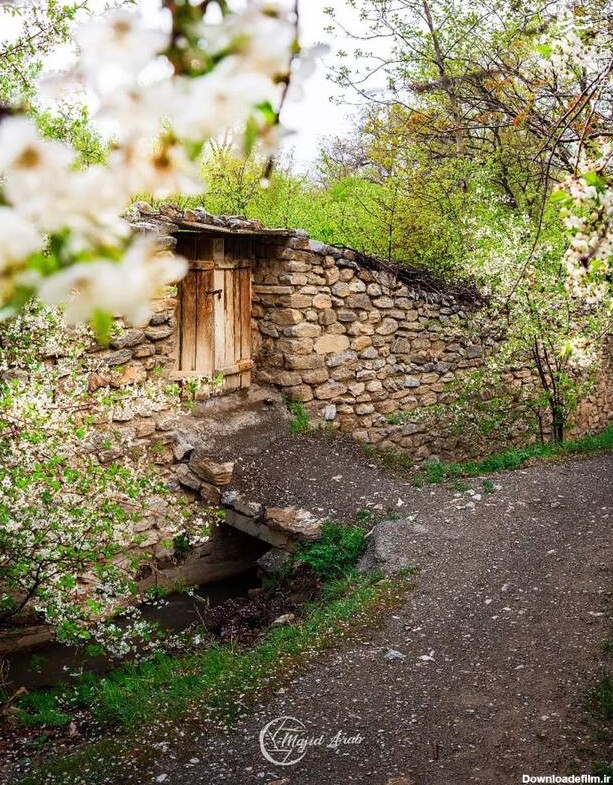 مشرق نیوز - عکس/ عطر خوش بهار در کوچه‌ باغ‌های خوانسار