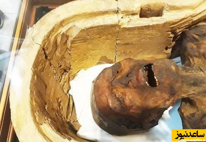 عکس) قدیمی ترین پروتز دنیا از پای یک مومیایی 3000 ساله کشف شد