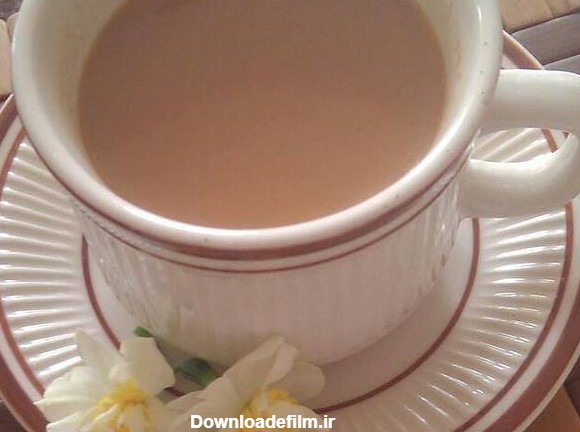طرز تهیه شیر چای ساده و خوشمزه توسط آشپزی بلوچی - کوکپد