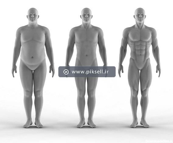 تصویر با کیفیت از آناتومی سه بعدی و مجسمه رندر شده بدن افراد ...
