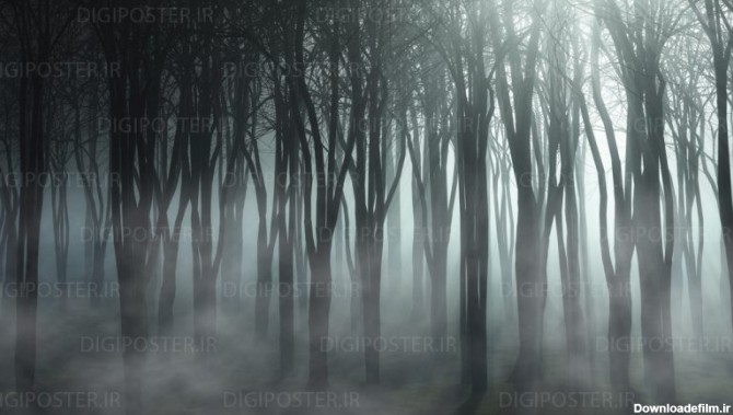 طرح جنگل تاریک و ترسناک