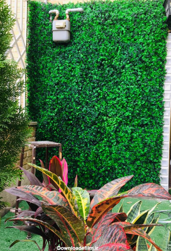 با چمن مصنوعی و دیوار سبز خانه و محل کارتان را تزئین کنید