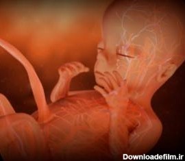 علائم جنین مرده در شکم مادر