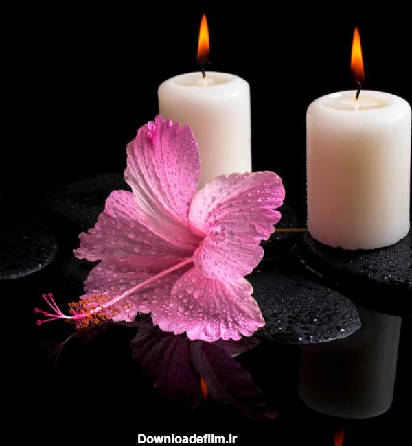 عکس با کیفیت شمع سفید و گل
