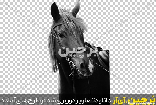 Borchin-ir-Black-Horse-Vector-PNG-Image-25 عکس باکیفیت اسب سیاه png