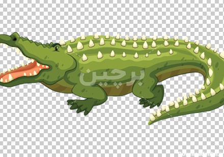 Borchin-ir-green corocodile with its mouth open عکس کارتونی کروکودیل سبز با دهان باز۲